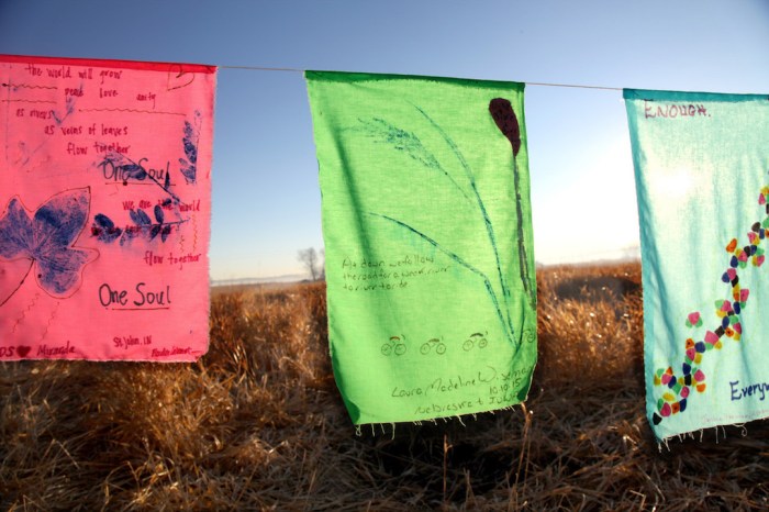 FlagsStandingRock11-2016_3918