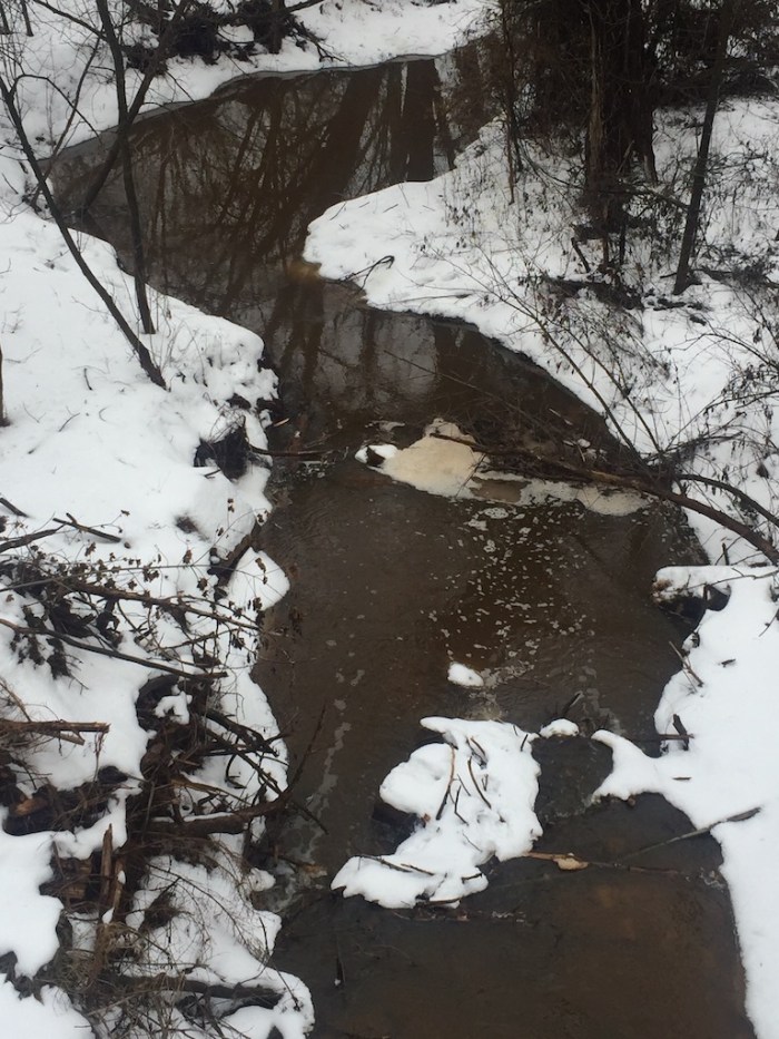 KOR@NorthlandCollege1-2017 - 11