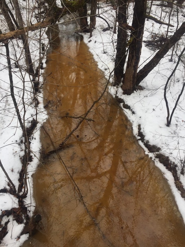 KOR@NorthlandCollege1-2017 - 6