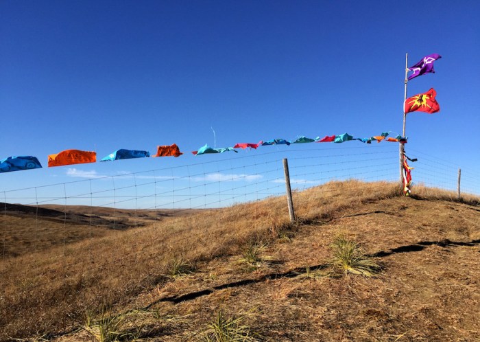 RiverFlagsStanding Rock 11-2016 - 82