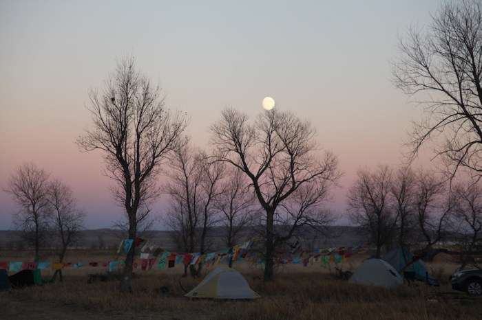 StandingRock11-2016_3847