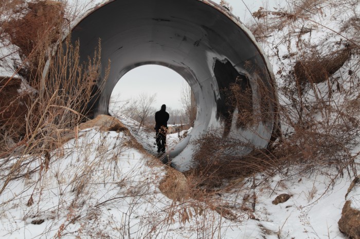 st louis 2014_8849.JPG