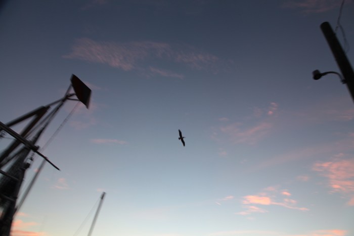 Venice 2014_8785.JPG