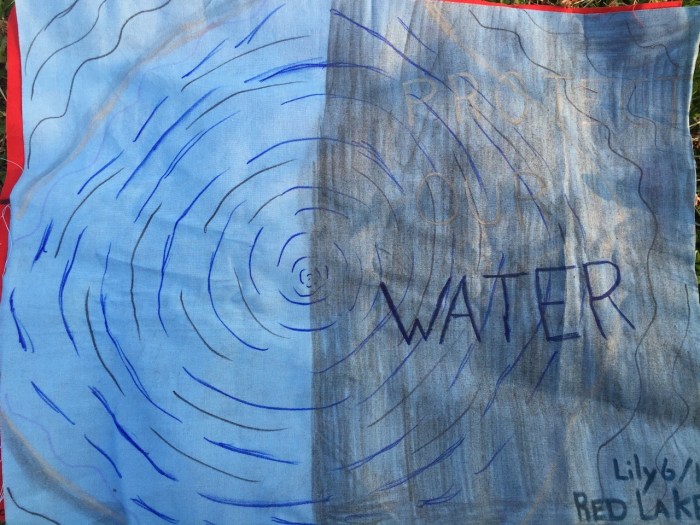 flags at harmony park - 13