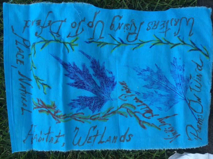 flags at harmony park - 5