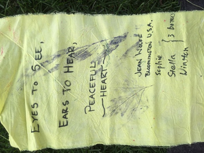 flags at harmony park - 7