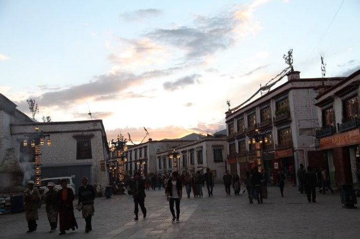 Lhasa_5891