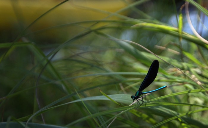 2St. Croix paddle with Adam S_0843