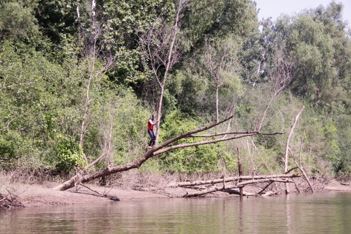 clarksdale to choctaw island mississippi_5073