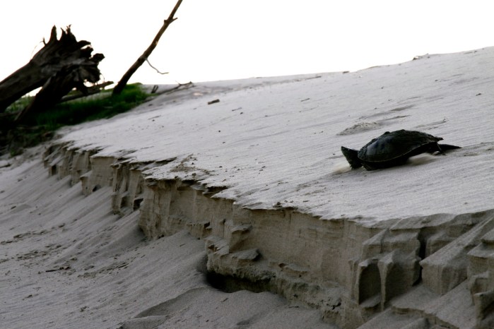 clarksdale to choctaw island mississippi_5118a