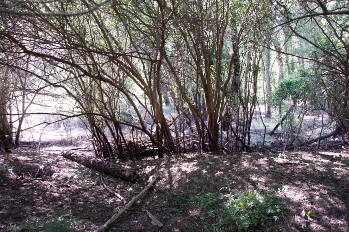 clarksdale to choctaw island mississippi_5227