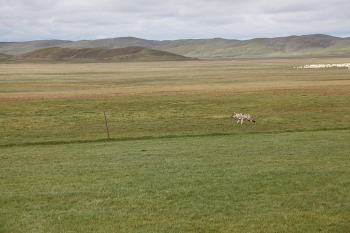 牛头碑YellowRiverSource2013_4904