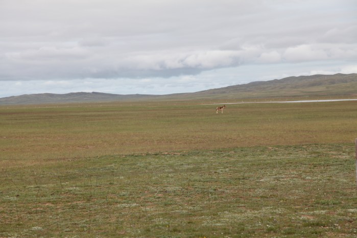 牛头碑YellowRiverSource2013_4911
