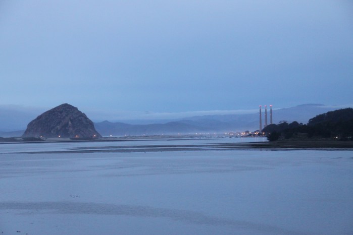 Morro Bay 3-12_3622