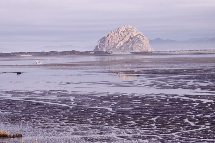 Morro Bay 3-12_3700