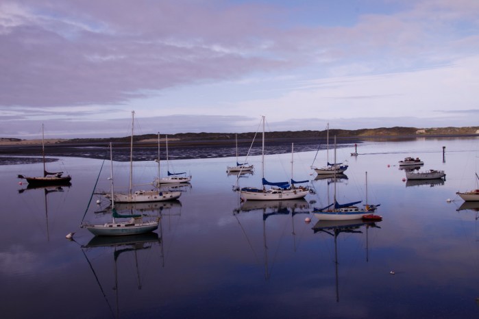 Morro Bay 3-12_3721