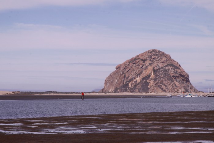 Morro Bay 3-12_3763