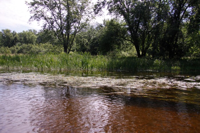 river of sturgens_0177