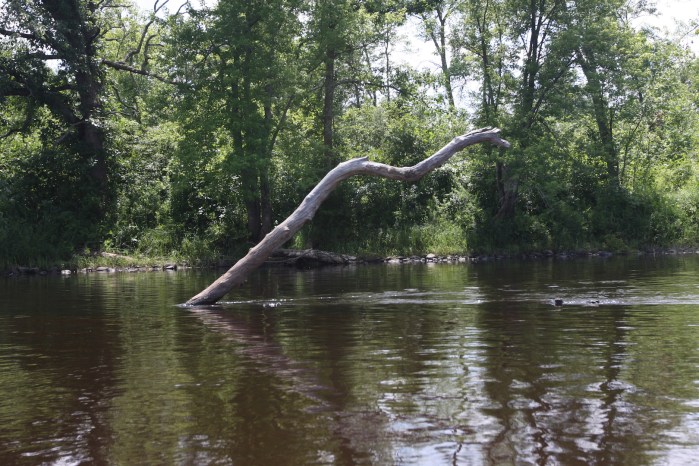 St. Croix paddle with Adam S_0640