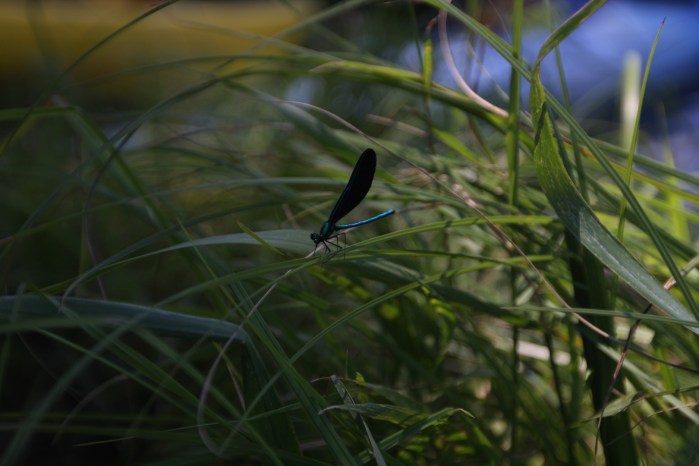 St. Croix paddle with Adam S_0843
