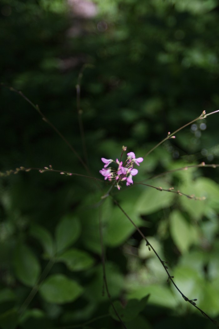 St. Croix paddle with Adam S_0872