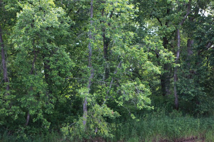 St. Croix paddle with Adam S_8994
