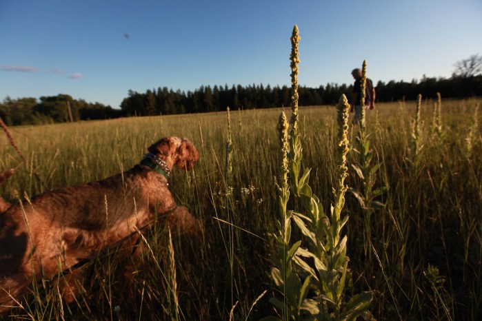 St. Croix paddle with Adam S_9203