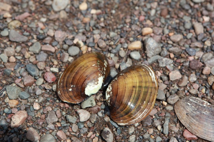 St. Croix paddle with Adam S_9587