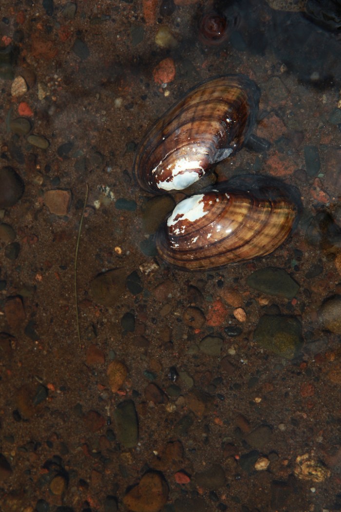 St. Croix paddle with Adam S_9597