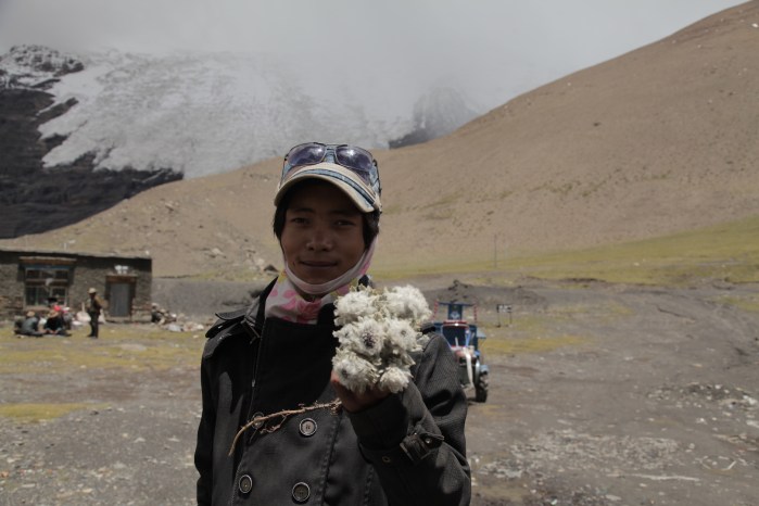 to dingri checkpoint_6360