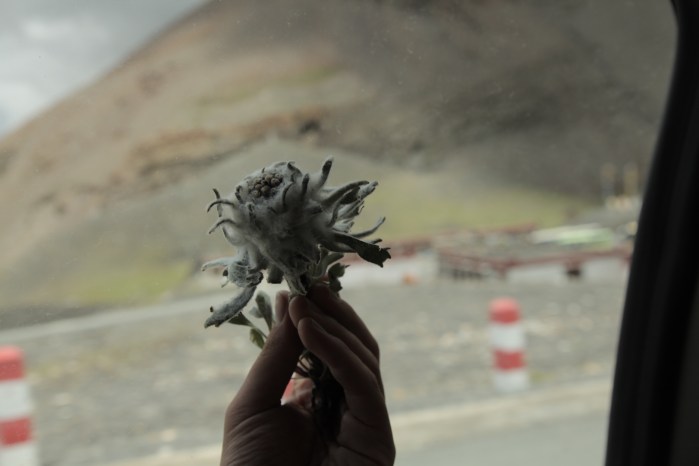 to dingri checkpoint_6362