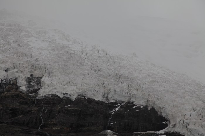to dingri checkpoint_6364