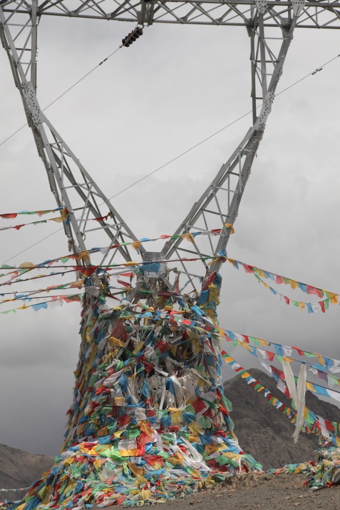 to dingri checkpoint_6379