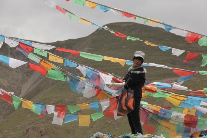 to dingri checkpoint_6394