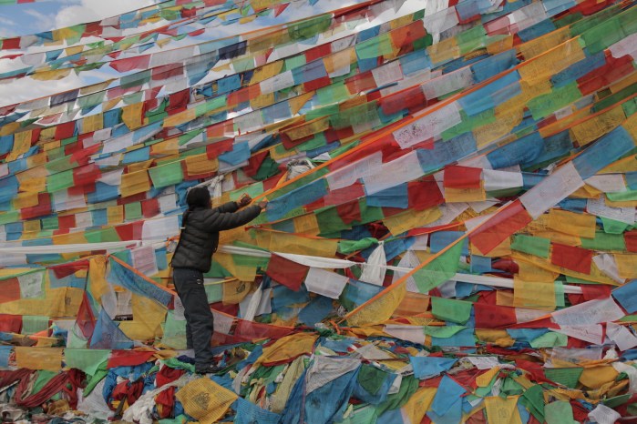 to dingri checkpoint_6408