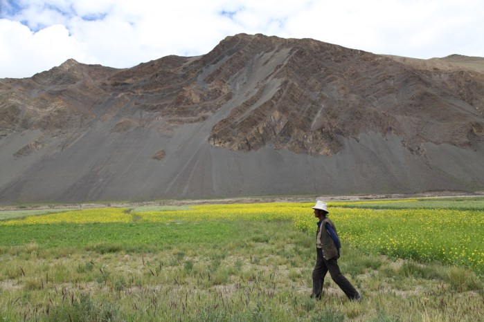 to dingri checkpoint_6420