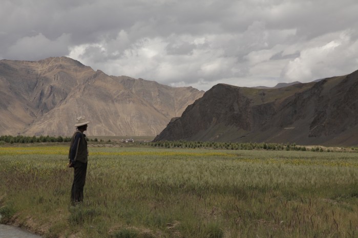 to dingri checkpoint_6429