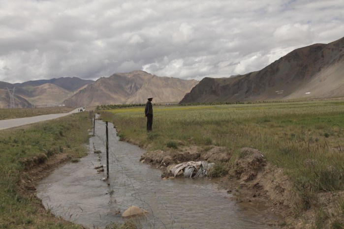 to dingri checkpoint_6432