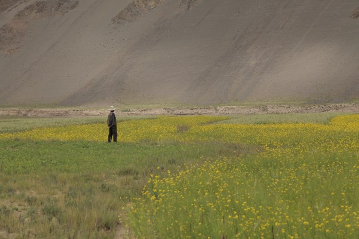 to dingri checkpoint_6441