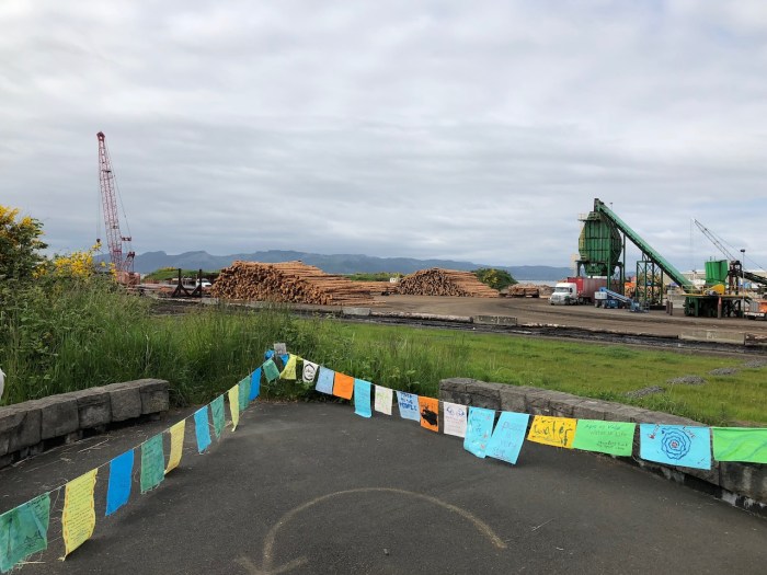 Columbia River May2018 - 1