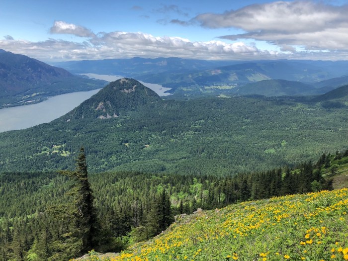 Columbia River May2018 - 100 (1)