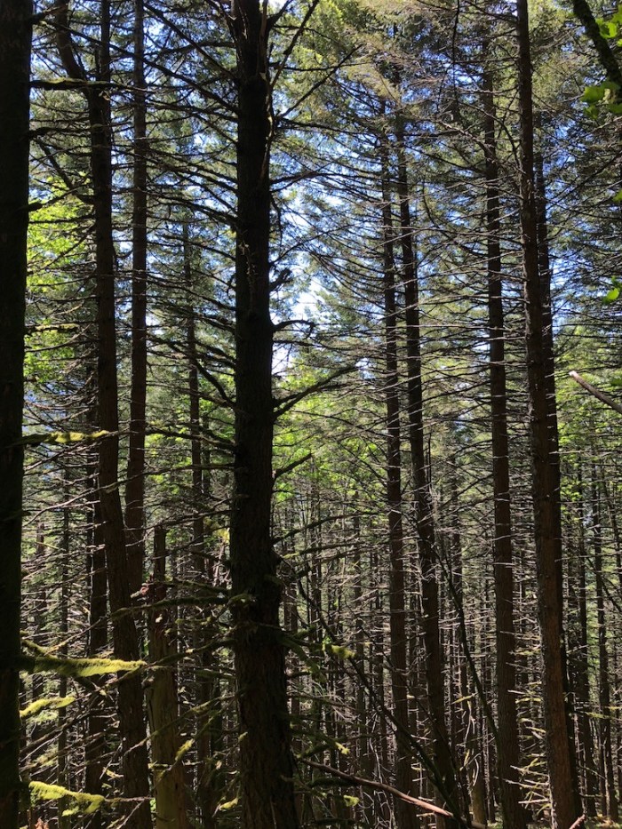 Columbia River May2018 - 101