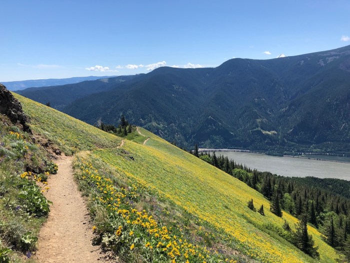 Columbia River May2018 - 102 (1)