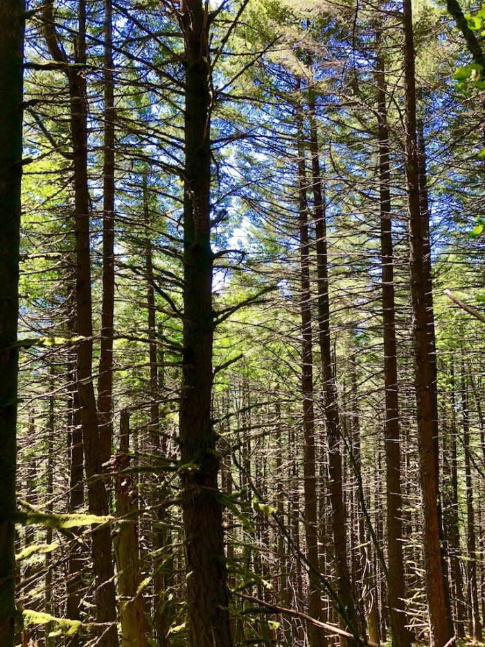 Columbia River May2018 - 102