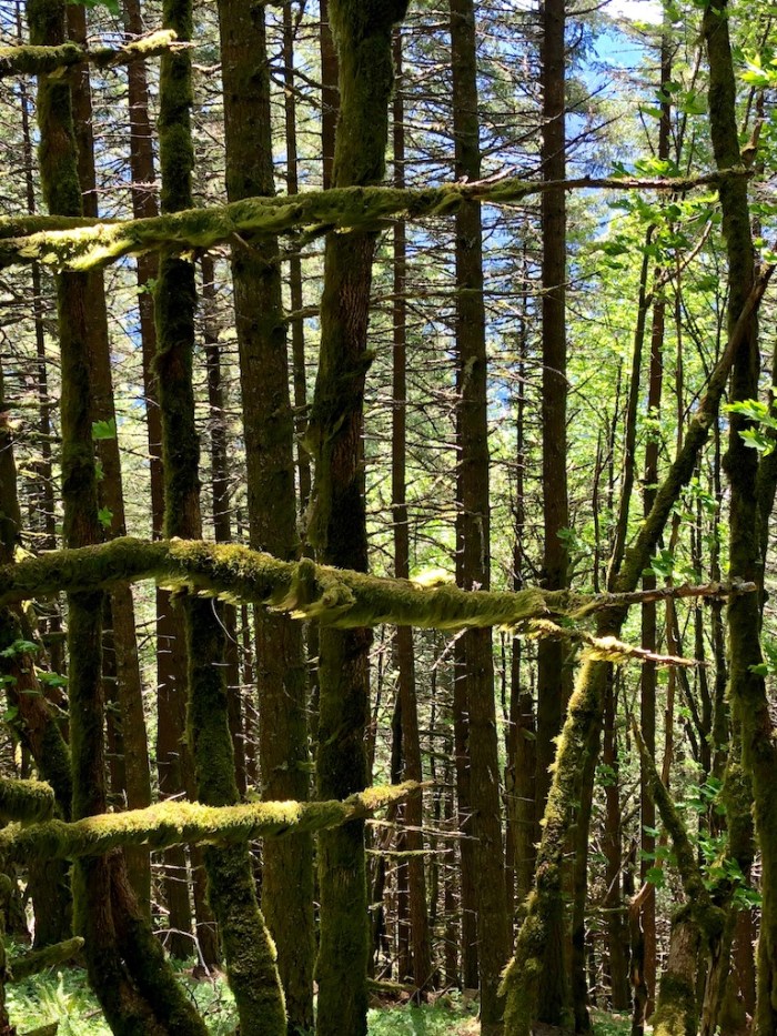 Columbia River May2018 - 103