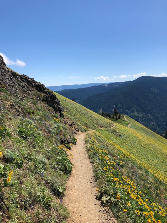 Columbia River May2018 - 104 (1)