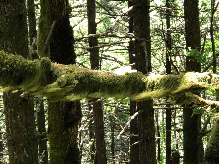 Columbia River May2018 - 104