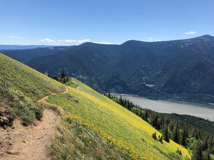 Columbia River May2018 - 105 (1)