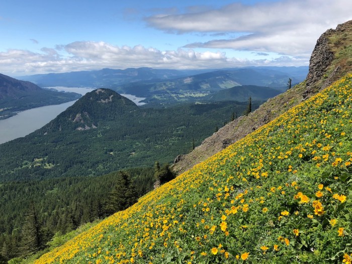 Columbia River May2018 - 108 (1)