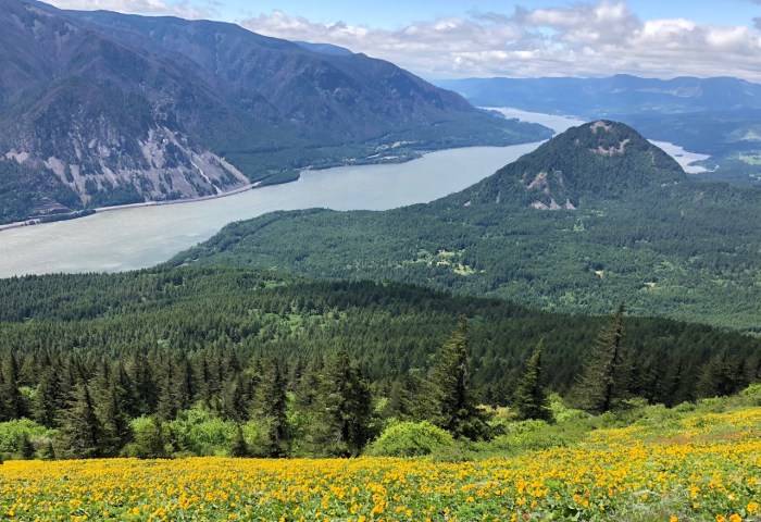 Columbia River May2018 - 109
